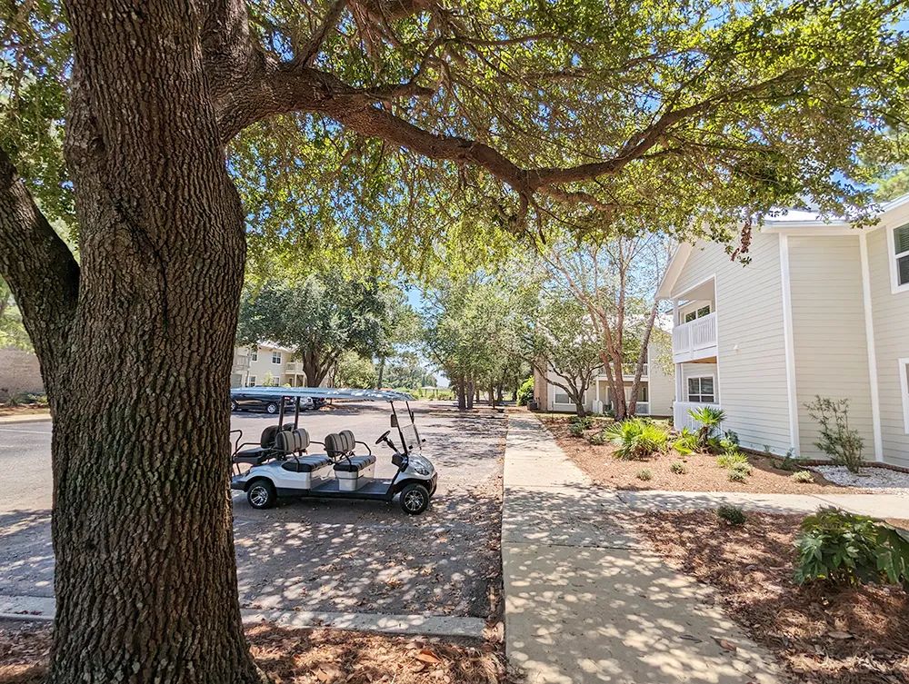 Move-In Info Header